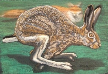 Running Hare II
